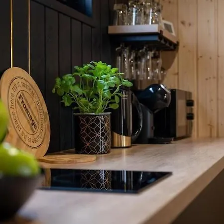 Comfortable Homes, Pool, Sauna, Jacuzzi بيت للعطل Kopań